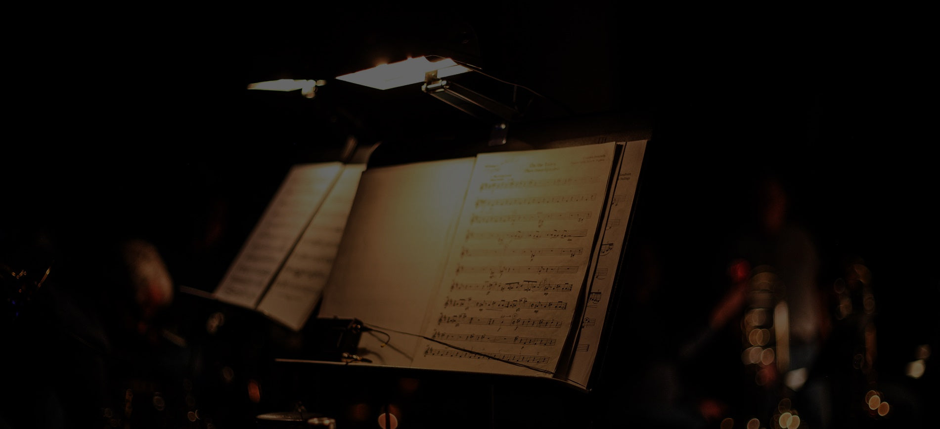 Music Stands and Accessories For Sale