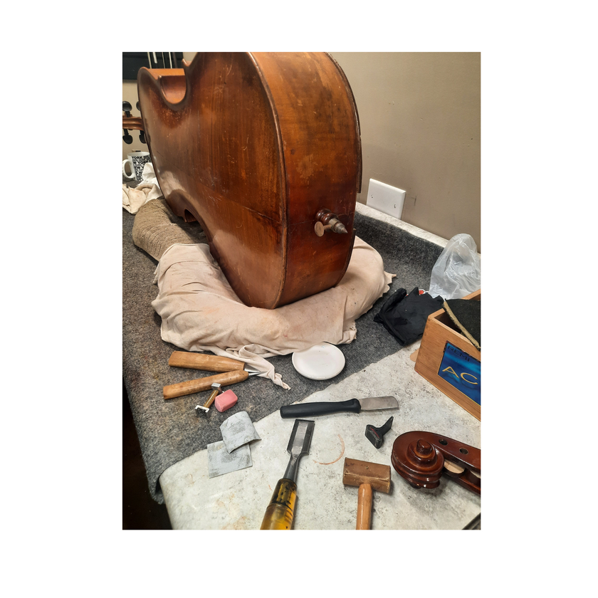 Untitled_design_6.png