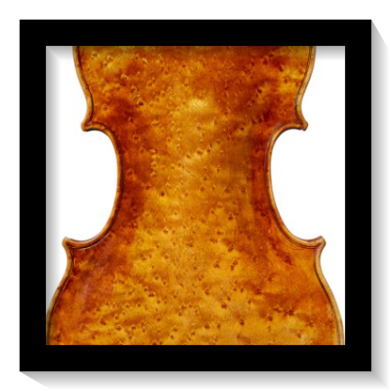Pricing of String Instruments -Construction