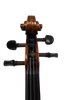 Johann Thunemann Model VN-16 Violin Johann Thunemann Model VN-16 Violin