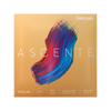 D'Addario Ascenté Violin Strings