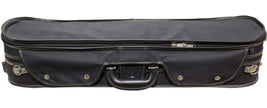 Black viola case on a white background