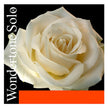 Pirastro Wondertone Solo Violin Strings
