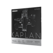 D'Addario Kaplan Vivo Violin Strings