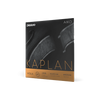 D'Addario Kaplan Amo Viola Strings