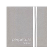 Pirastro Perpetual Cello String Set - Soloist Edition