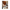  Untitled_design_6.png