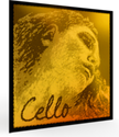 evah pirazzi gold cello strings