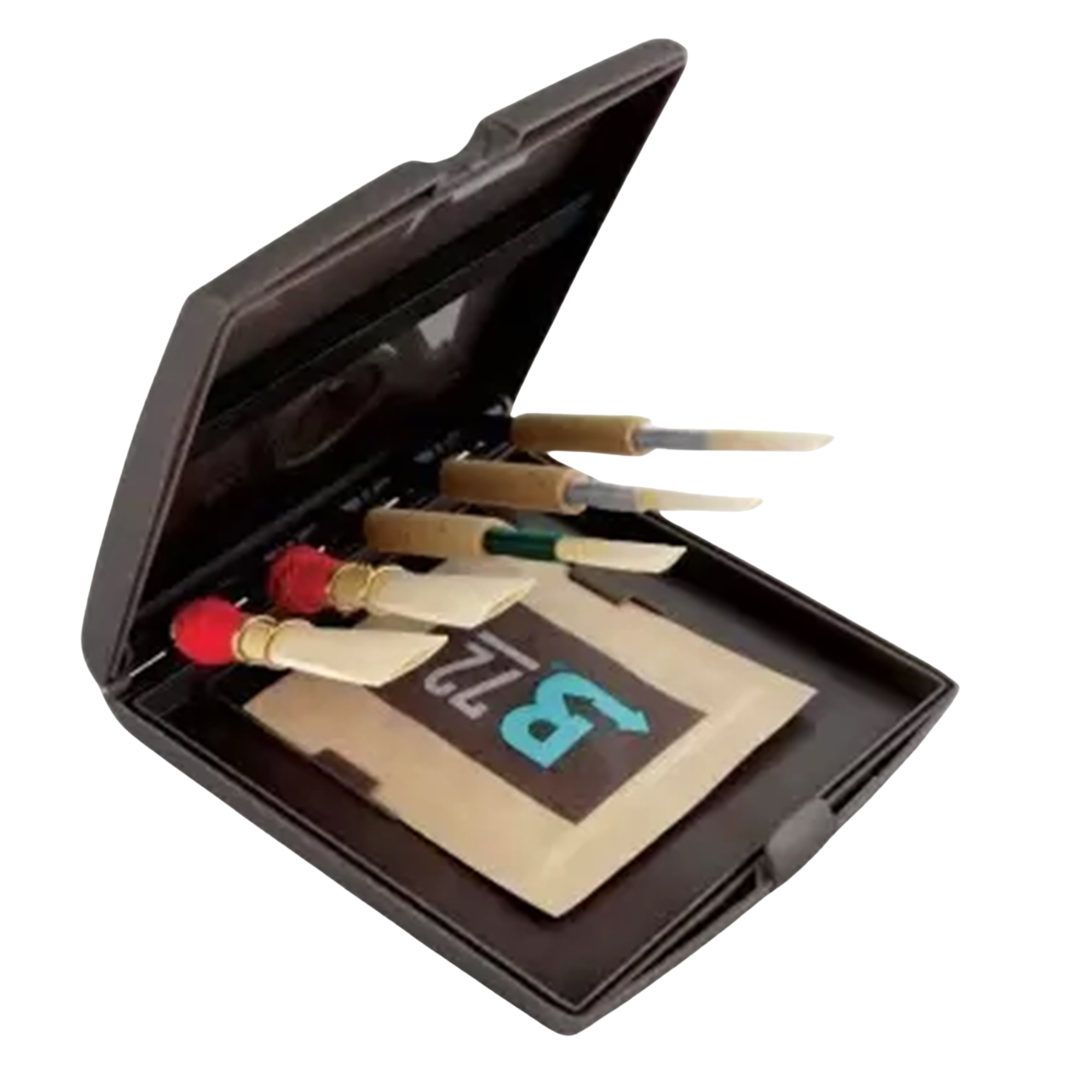 D'Addario Woodwinds Double Reed Storage Case