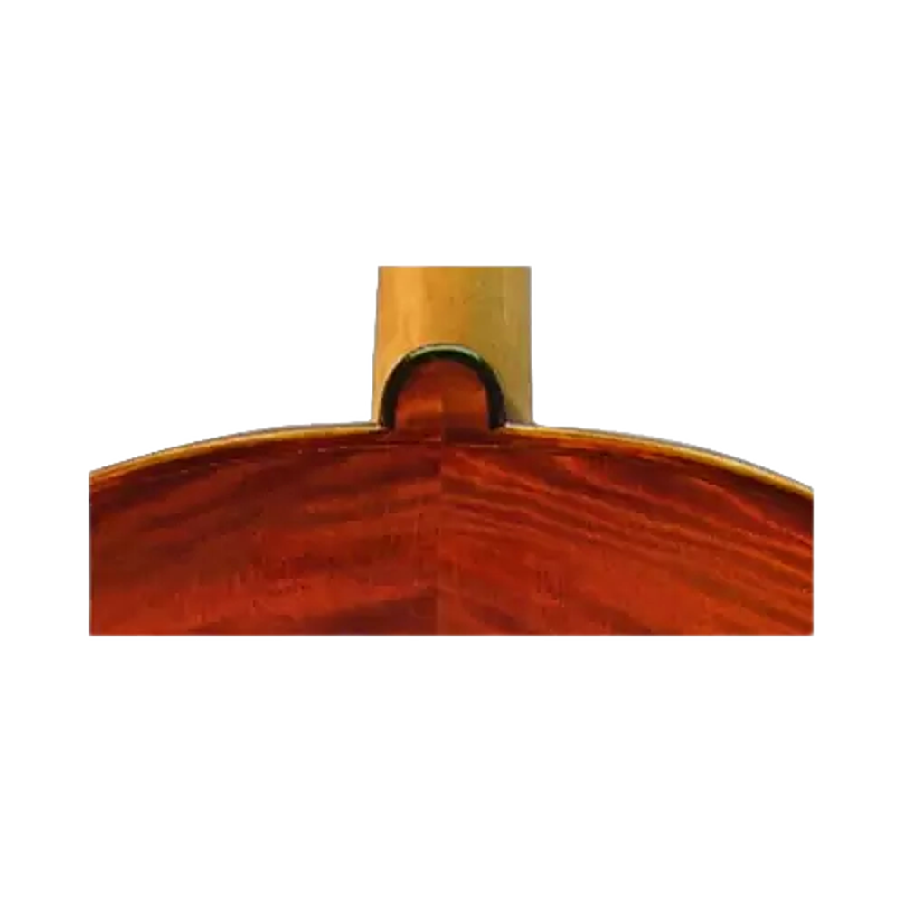 Karl Thunemann Symphony Cello