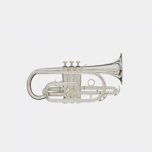EK Blessing BCR-1230 Silver Plated Cornet
