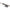 Presto Audition Bow