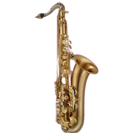 P. Mauriat Le Bravo Alto Saxophone